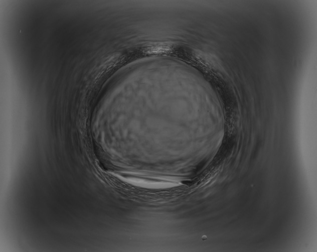 X0000087011441200705071516