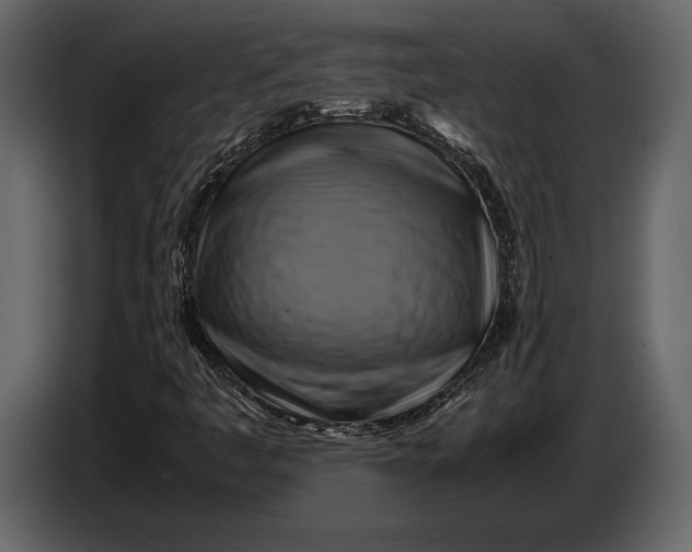 X0000087011445200705071516