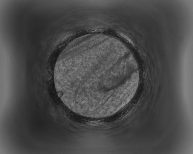 X0000087011447200705071516