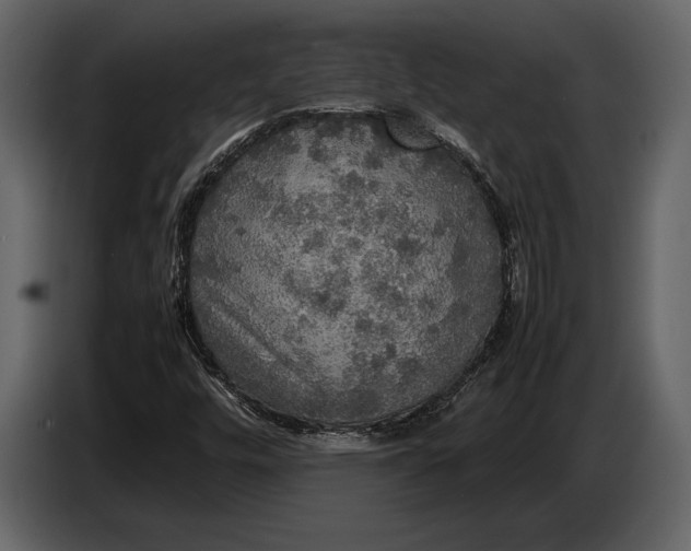 X0000087011448200705071516