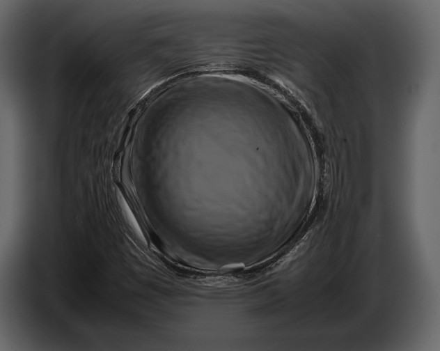 X0000087011449200705071516