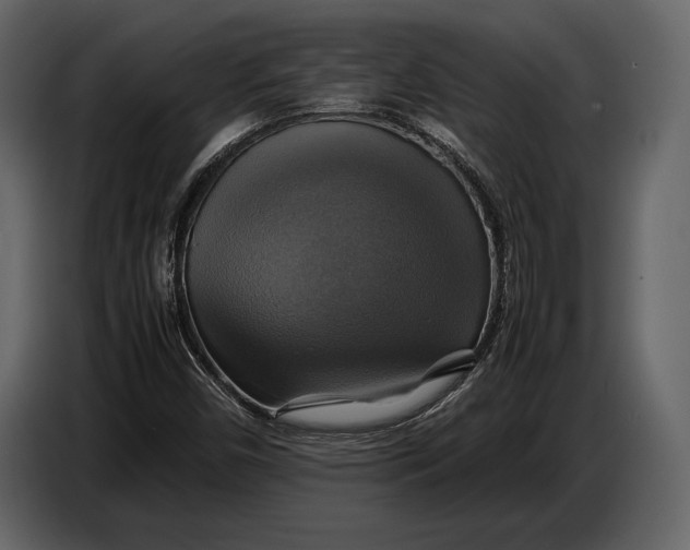 X0000087011450200705071516