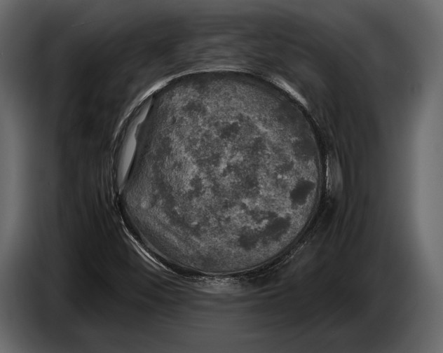 X0000087011452200705071516