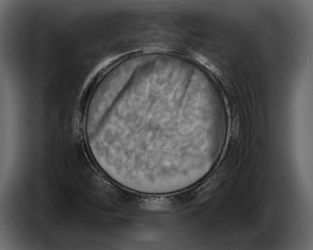 X0000087011454200705071516