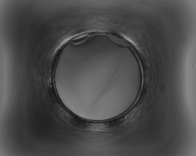 X0000087011455200705071516