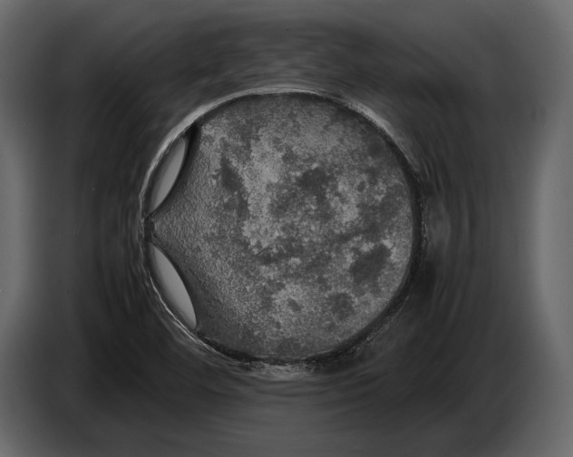 X0000087011460200705071516