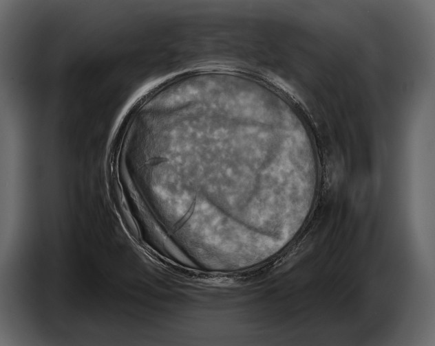 X0000087011462200705071516