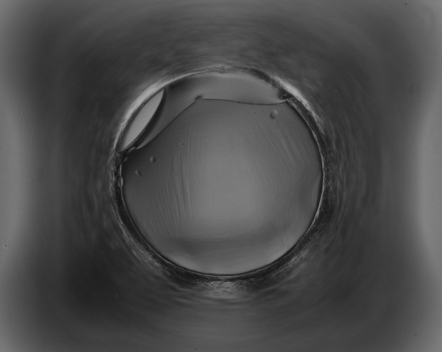 X0000087011463200705071516