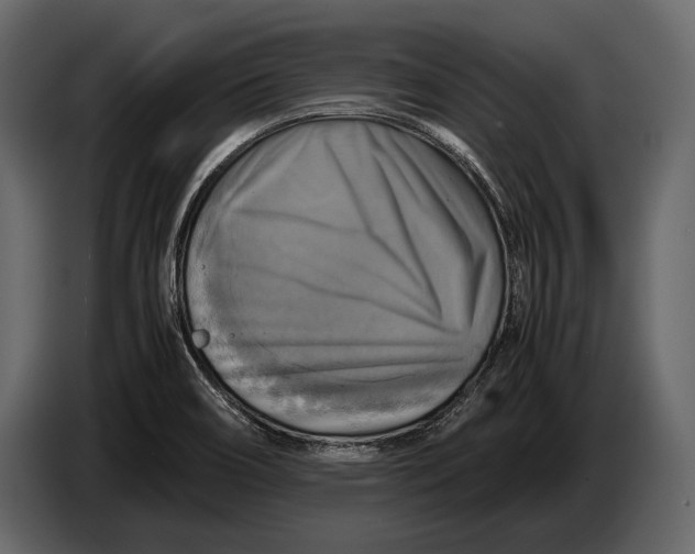 X0000087011466200705071516