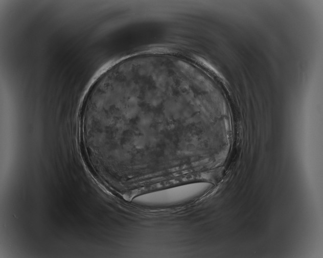 X0000087011467200705071516