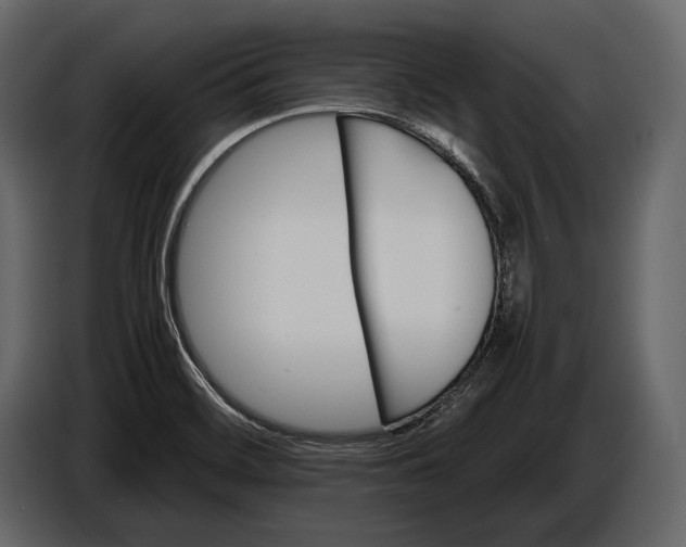 X0000087011468200705071516