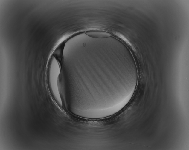 X0000087011469200705071516