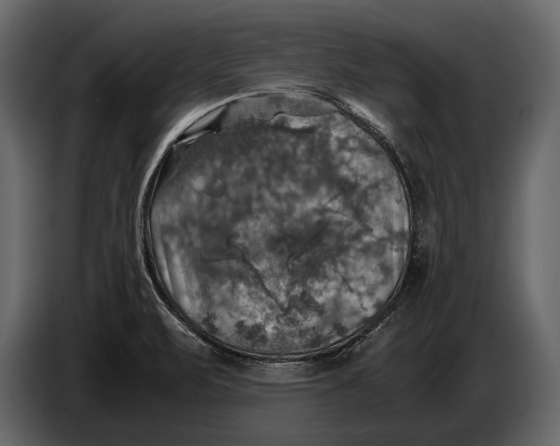 X0000087011471200705071516