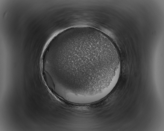 X0000087011472200705071516