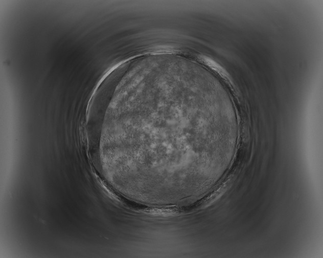 X0000087011473200705071516