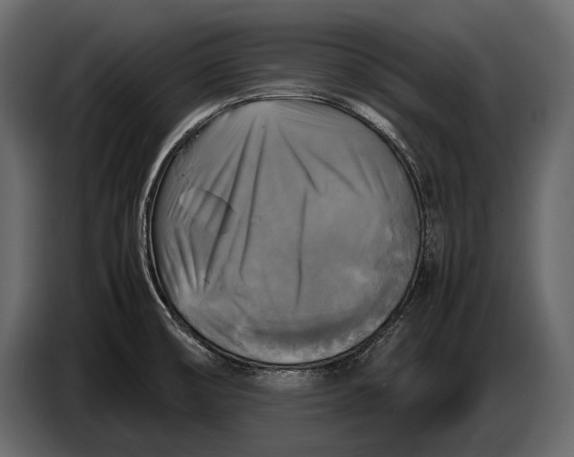 X0000087011474200705071516