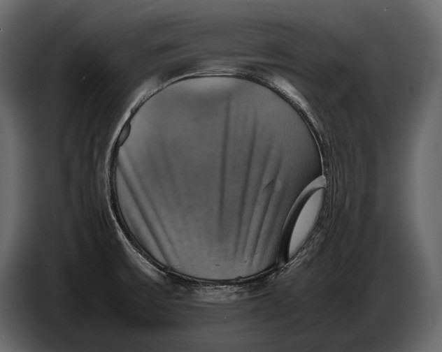 X0000087011475200705071516