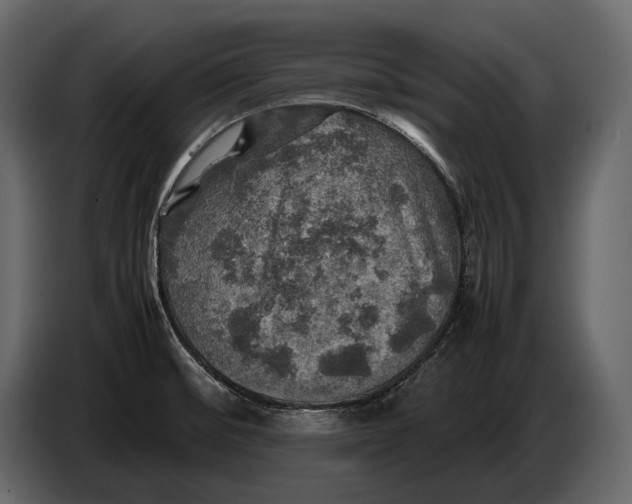 X0000087011476200705071516