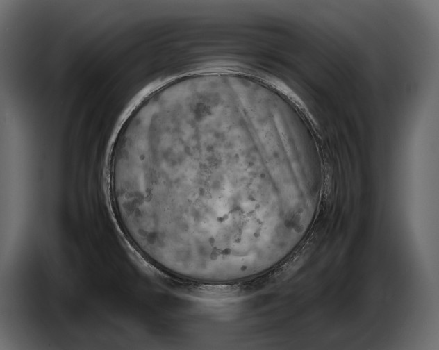 X0000087011478200705071516