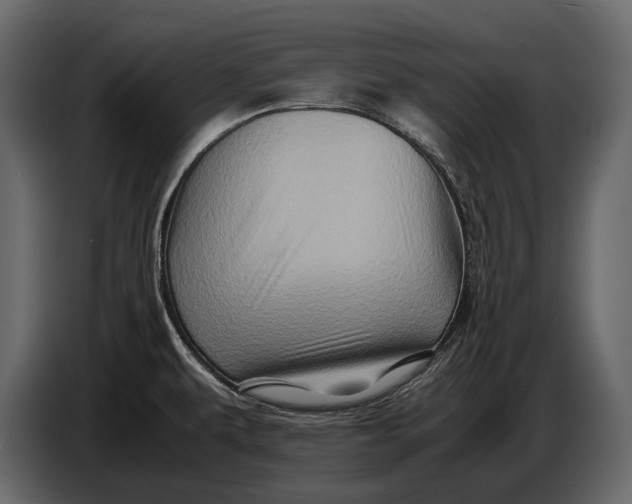 X0000087011479200705071516