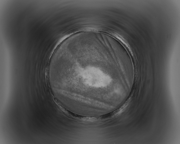 X0000087011481200705071516