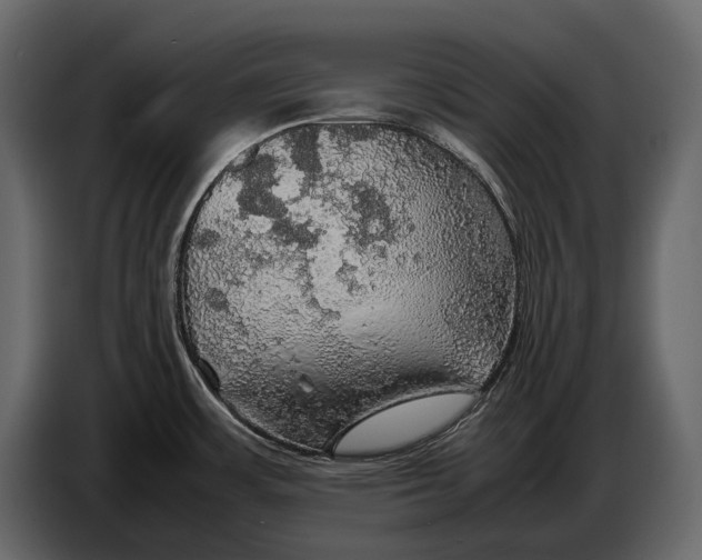 X0000087011483200705071516