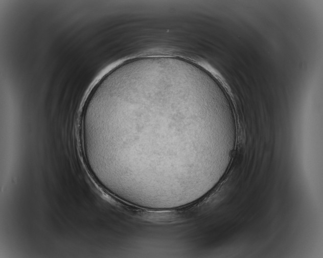 X0000087011486200705071516