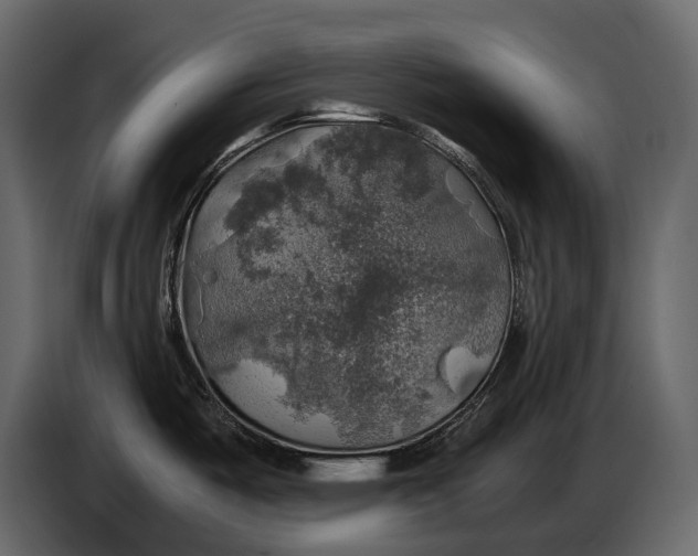 X0000087011487200705071516