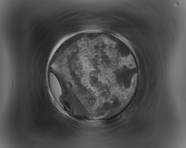 X0000087011488200705071516