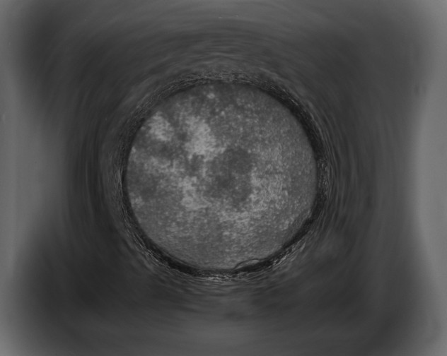 X0000087011489200705071515