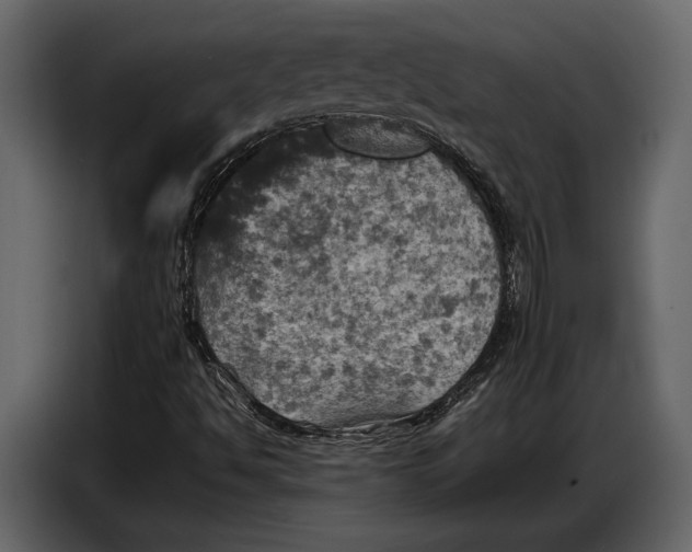 X0000087011494200705071515