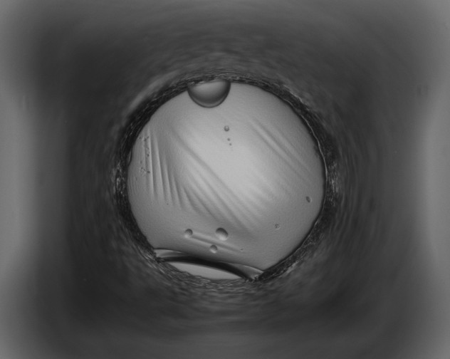 X0000087011495200705071515