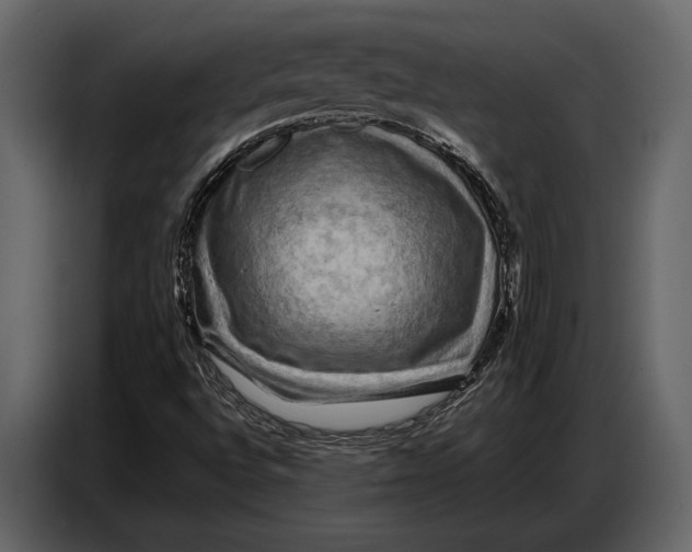 X0000087011496200705071515