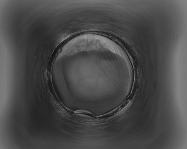 X0000087011497200705071515