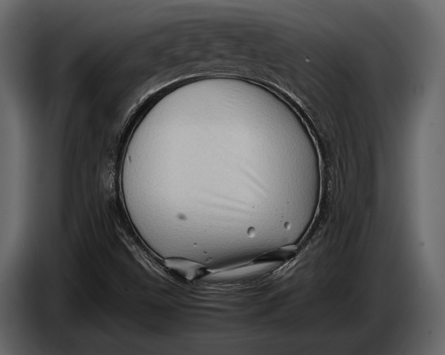 X0000087011499200705071515