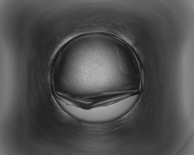 X0000087011500200705071515