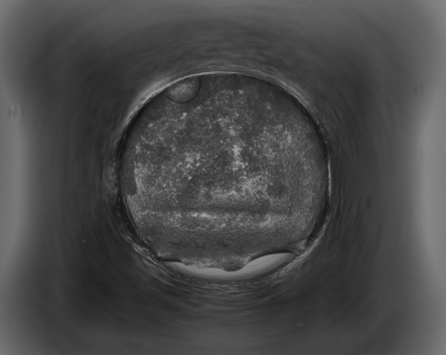 X0000087011501200705071515