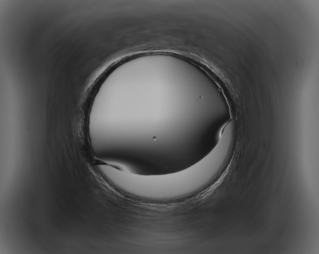 X0000087011502200705071515