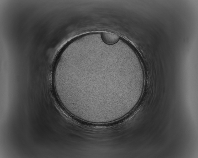 X0000087011503200705071515