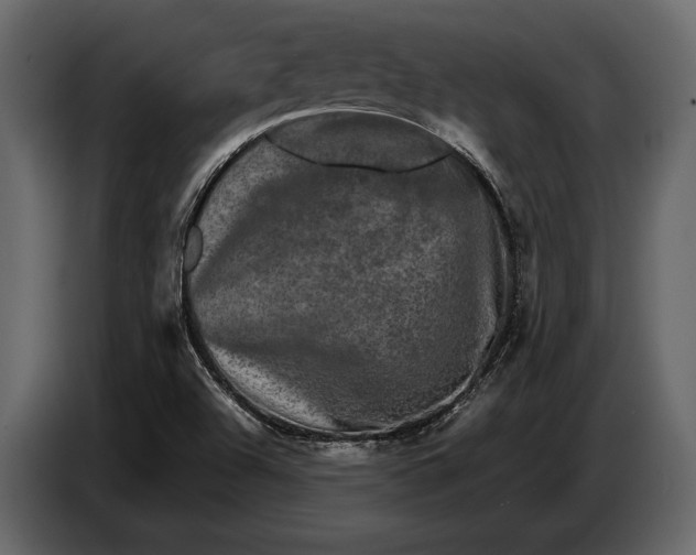 X0000087011504200705071515