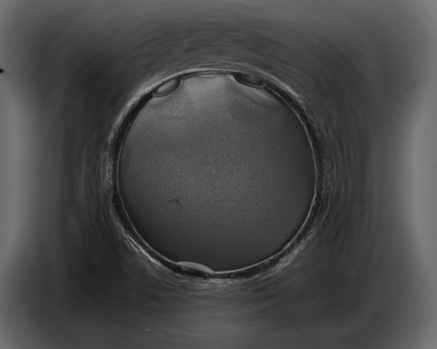 X0000087011506200705071515