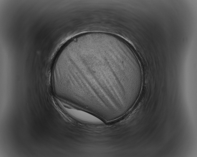 X0000087011507200705071515