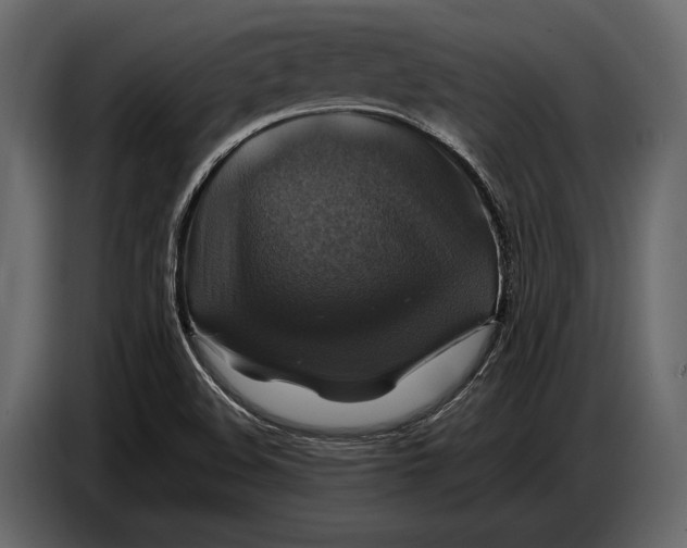 X0000087011508200705071515