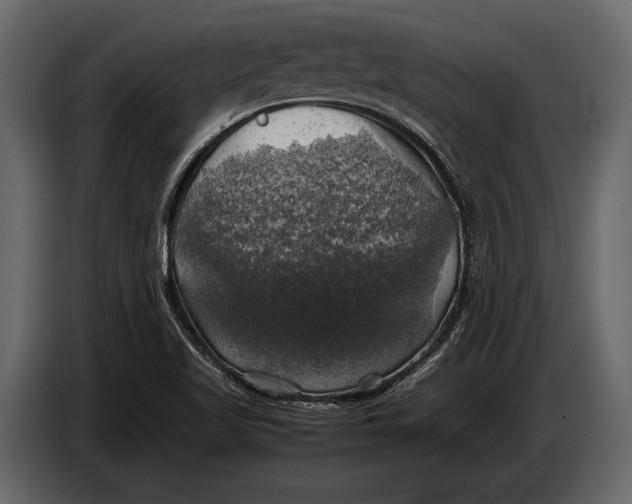 X0000087011509200705071515