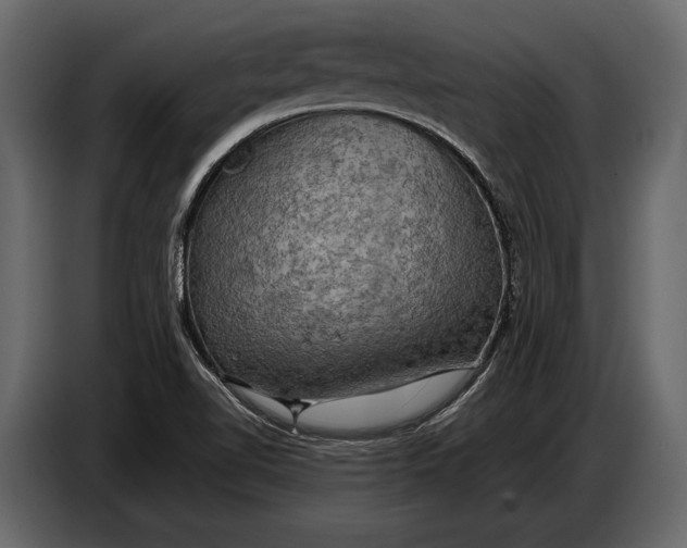 X0000087011510200705071515