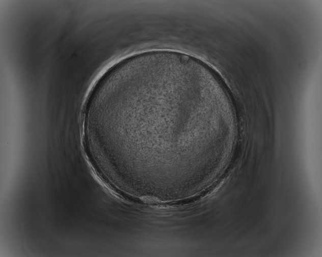 X0000087011511200705071515