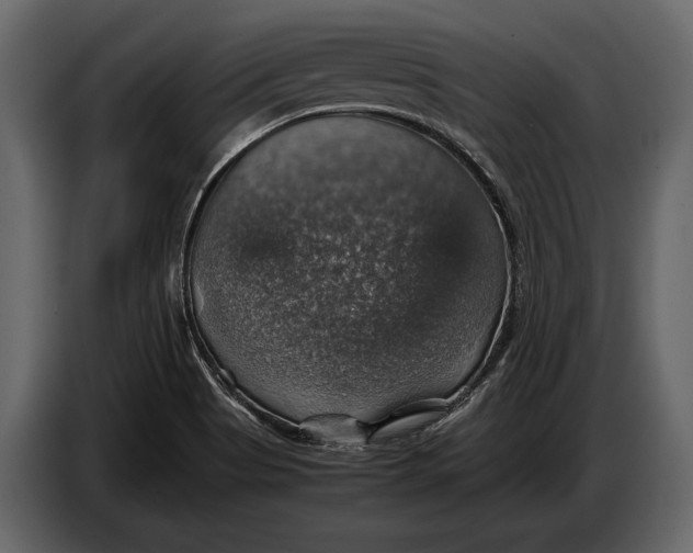 X0000087011513200705071515