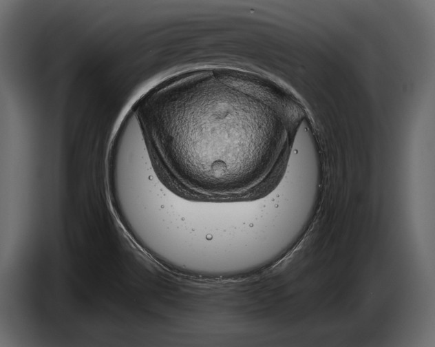 X0000087011514200705071515