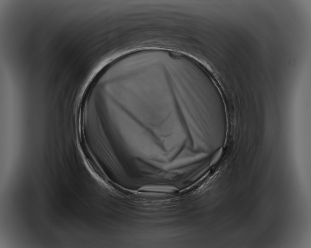 X0000087011515200705071515