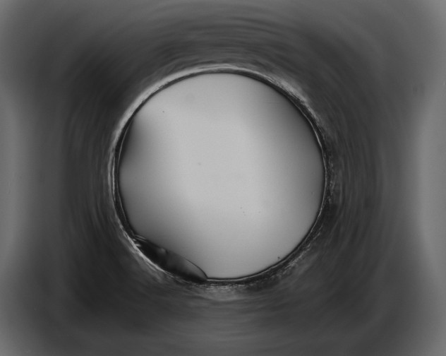 X0000087011516200705071515